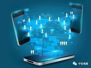 天貓平臺品牌號運(yùn)營主體變更規(guī)則解析 電商生態(tài)治理的深化與賦能