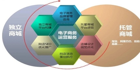 電子商務(wù)網(wǎng)站與平臺的全面推廣與精細(xì)化運(yùn)營策略